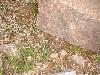 2003_0612_181828AA.jpg